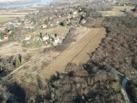 Sale, land lot, 7600m², Ledinci, Petrovaradin - image 5