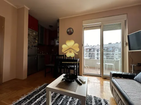 Izdavanje, jednosoban stan, 42m², Ljubović, Podgorica - image 4