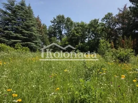 Sale, house, 250m², Babe, Sopot - image 20