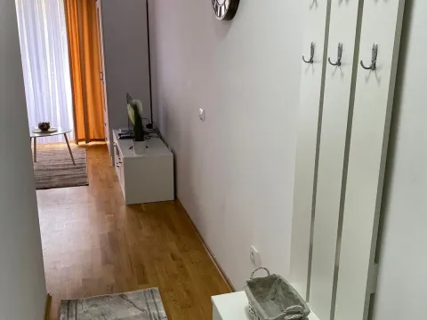 Rent, studio apartment, 26m², Lazi, Budva - image 5