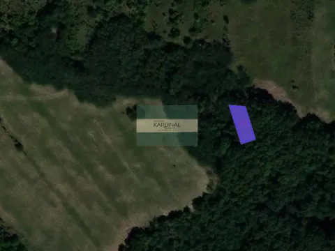 Prodaja, plac, 6367m², Beočić, Rekovac - image 9