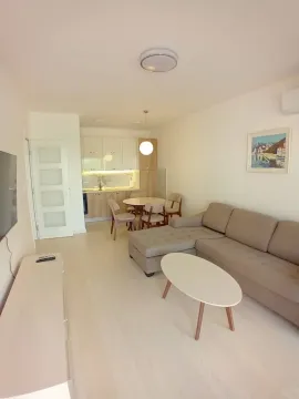 Prodaja, jednosoban stan, 45m², Dubovica, Budva - image 4