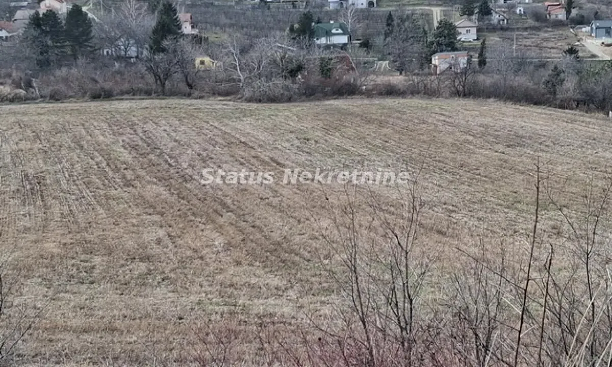 Prodaja, plac, 14994m², Ledinci, Petrovaradin