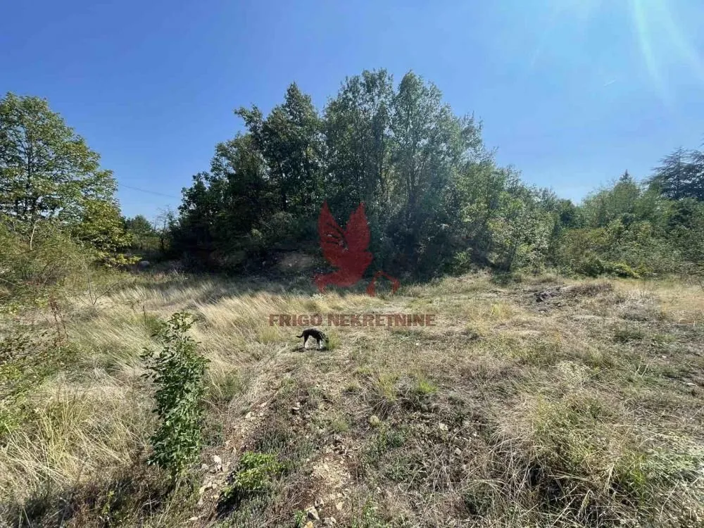 Prodaja, plac, 1000m², Mladenovac, Beograd
