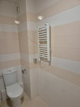 Part of a bathroom featuring a toilet and a wall-mounted radiator. - image 11