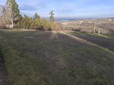 Prodaja, plac, 2400m², Ledinci, Petrovaradin - image 3