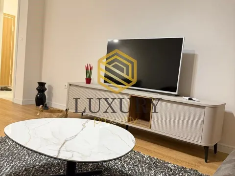 Rent, one bedroom apartment, 49m², Central Point, Podgorica - image 2