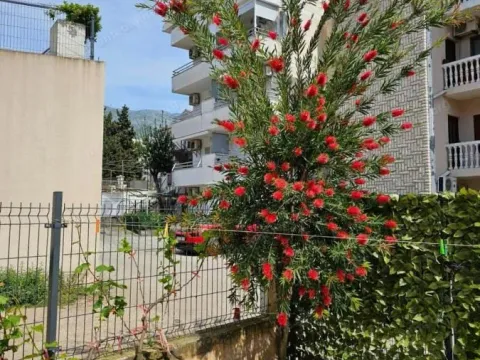 Prodaja, kuća, 220m², Budva, Crna Gora - image 23