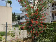 Prodaja, kuća, 220m², Budva, Crna Gora - image 23