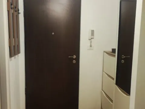 Izdavanje, jednosoban stan, 55m², City Kej, Podgorica - image 8