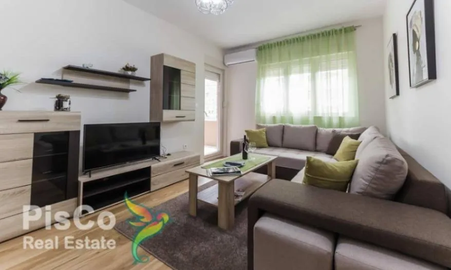 Izdavanje, jednosoban stan, 50m², Central Point, Podgorica