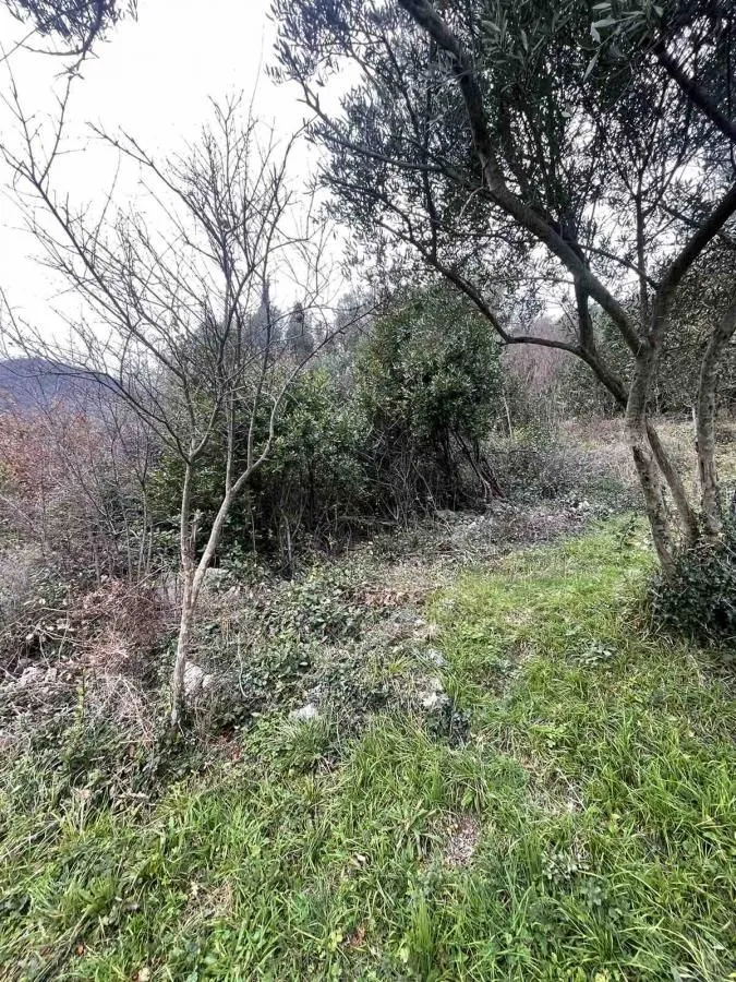 Prodaja, plac, 700m², Jošica, Herceg Novi