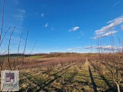 Prodaja, plac, 38000m², Kožuar, Ub - image 8