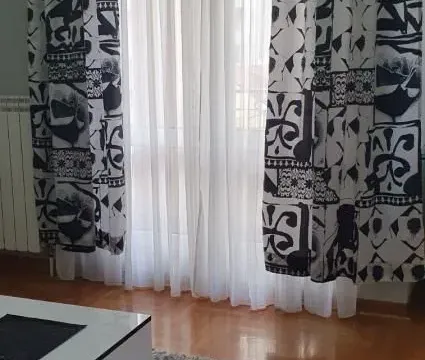 Izdavanje, dvosoban stan, 40m², Vračar Sve Podlokacije, Beograd - image 5