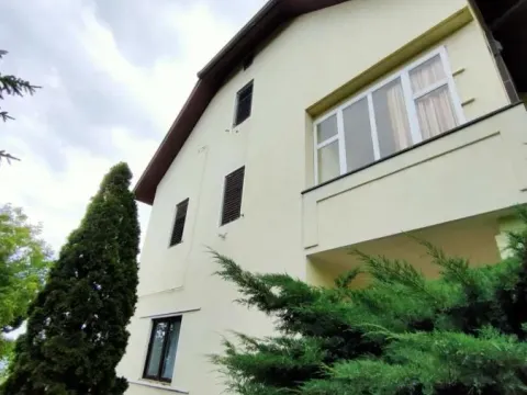 Rent, office space, 950m², Sremska Kamenica, Petrovaradin - image 21