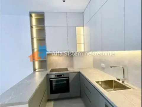 Rent, two bedroom apartment, 60m², Vračar Sve Podlokacije, Beograd - image 11