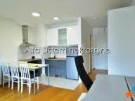 Izdavanje, jednosoban stan, 33m², Neimar, Vračar Sve Podlokacije - image 9