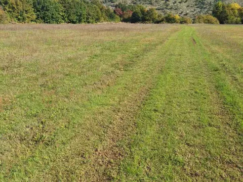 Prodaja, plac, 9000m², Podgorica, Crna Gora - image 7