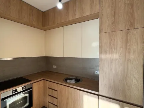 Izdavanje, jednosoban stan, 45m², Pobrežje, Podgorica - image 8