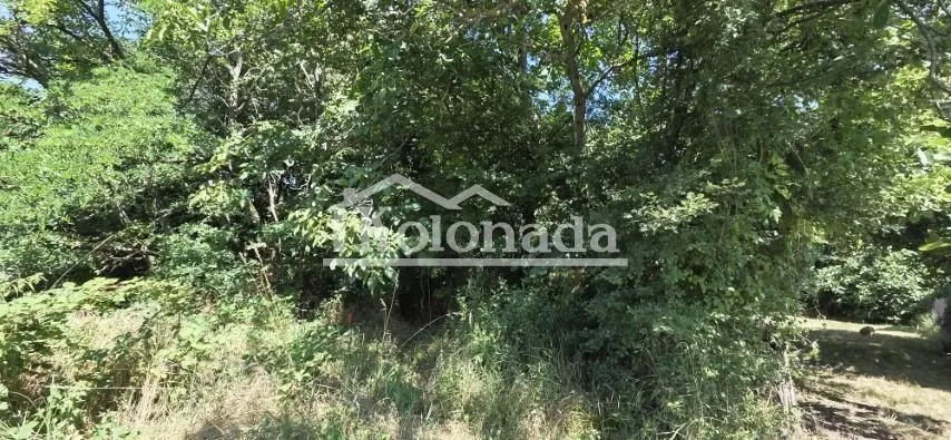 Prodaja, plac, 2300m², Parcani, Sopot