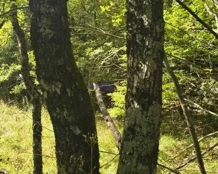 Sale, land lot, 48908m², Bar, Crna Gora - image 2