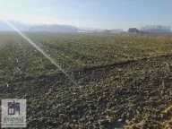 Prodaja, plac, 10m², Ub, Srbija - image 3