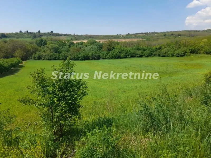 Sale, land lot, 7500m², Irig, Srbija
