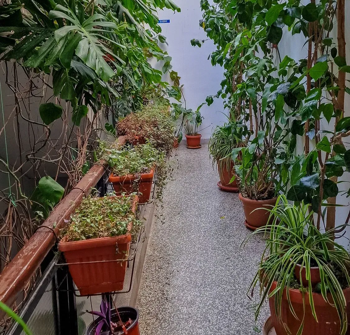Rent, two bedroom apartment, 58m², Centar, Bar