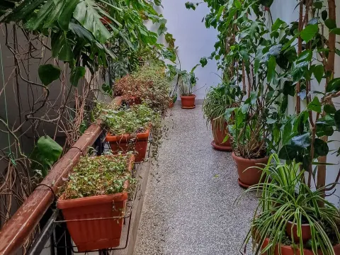 Rent, two bedroom apartment, 58m², Centar, Bar - image 5