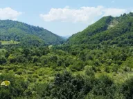 Sale, land lot, 3021m², Vladoš, Kolašin - image 5