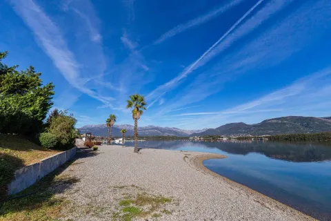 Pogled sa plaže na more i planine u pozadini sa palmama. - image 6