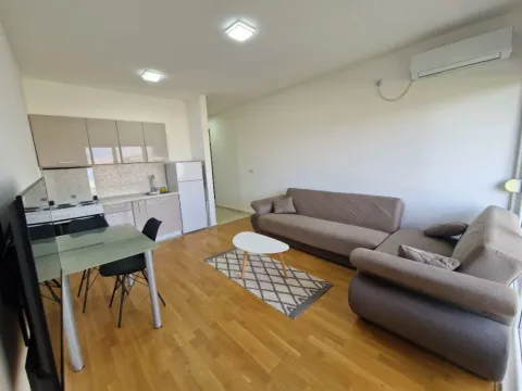 Izdavanje, jednosoban stan, 47m², Stari Aerodrom, Podgorica - image 3