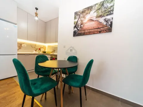Rent, one bedroom apartment, 55m², Kruševac, Podgorica - image 3
