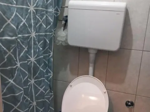 Izdavanje, garsonjera, 28m², Bulevar Oslobodjenja, Novi Sad Sve Podlokacije - image 11