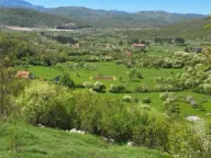 Prodaja,  zemljište, 26000m2, Čevo, Cetinje