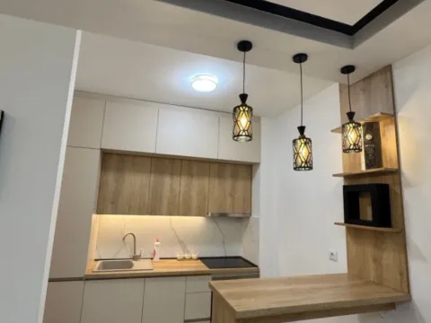 Izdavanje, jednosoban stan, 53m², Zagorič, Podgorica - image 3