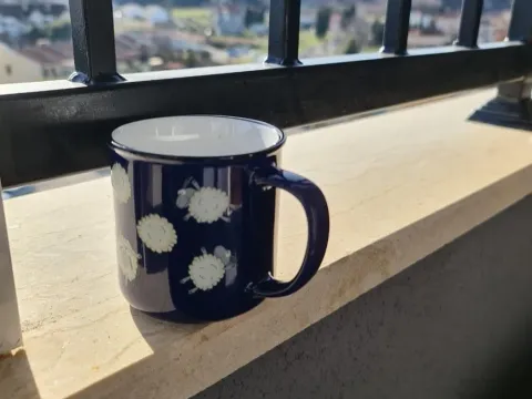 Izdavanje, jednosoban stan, 43m², Zabjelo, Podgorica - image 6