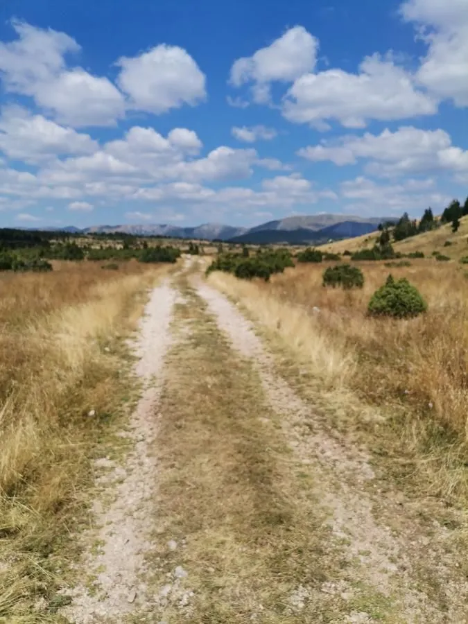 Zemljani put koji vodi kroz travnati predio sa pogledom na planine.