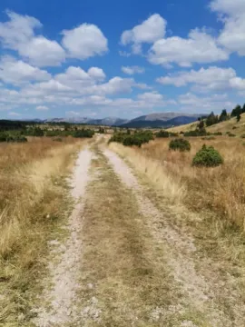 Zemljani put koji vodi kroz travnati predio sa pogledom na planine. - image 7