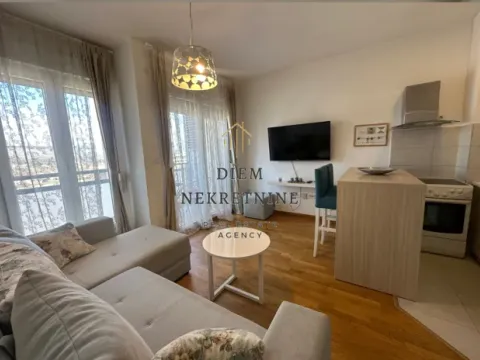 Izdavanje, garsonjera, 30m², City Kvart, Podgorica - image 9