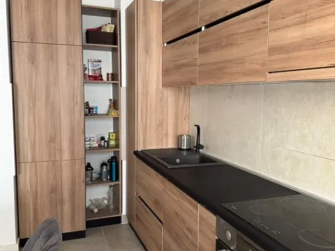 Rent, two bedroom apartment, 40m², Južni Bulevar, Vračar Sve Podlokacije - image 3