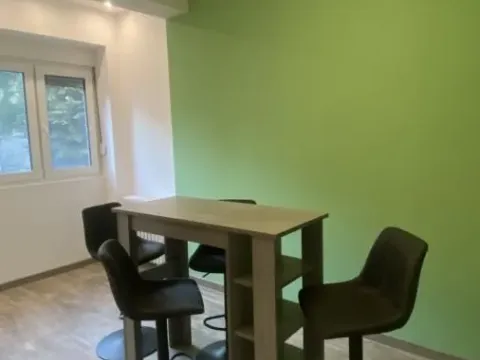 Rent, two bedroom apartment, 61m², Vračar Hram, Vračar Sve Podlokacije - image 16