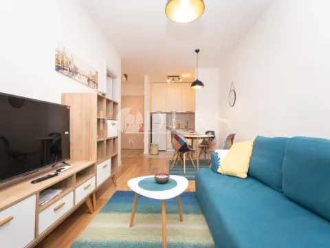 Izdavanje, jednosoban stan, 39m², Central Point, Podgorica - image 10