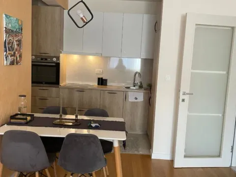 Izdavanje, jednosoban stan, 50m², Central Point, Podgorica - image 2