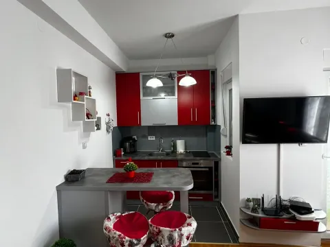 Rent, one bedroom apartment, 33m², Zabjelo, Podgorica - image 3