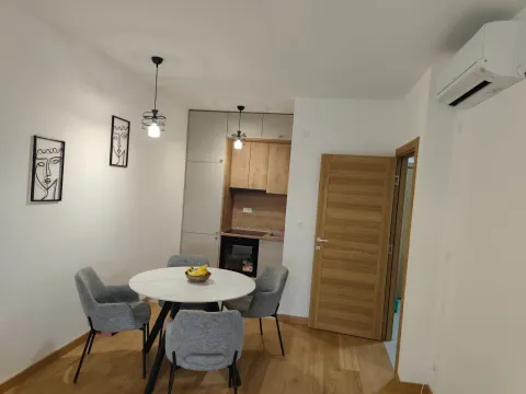 Rent, one bedroom apartment, 46m², New City, Podgorica - image 3