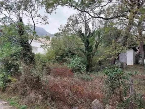 Sale, land lot, 220m², Ratac, Bar - image 2