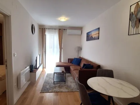 Izdavanje, jednosoban stan, 40m², Central Point, Podgorica - image 2