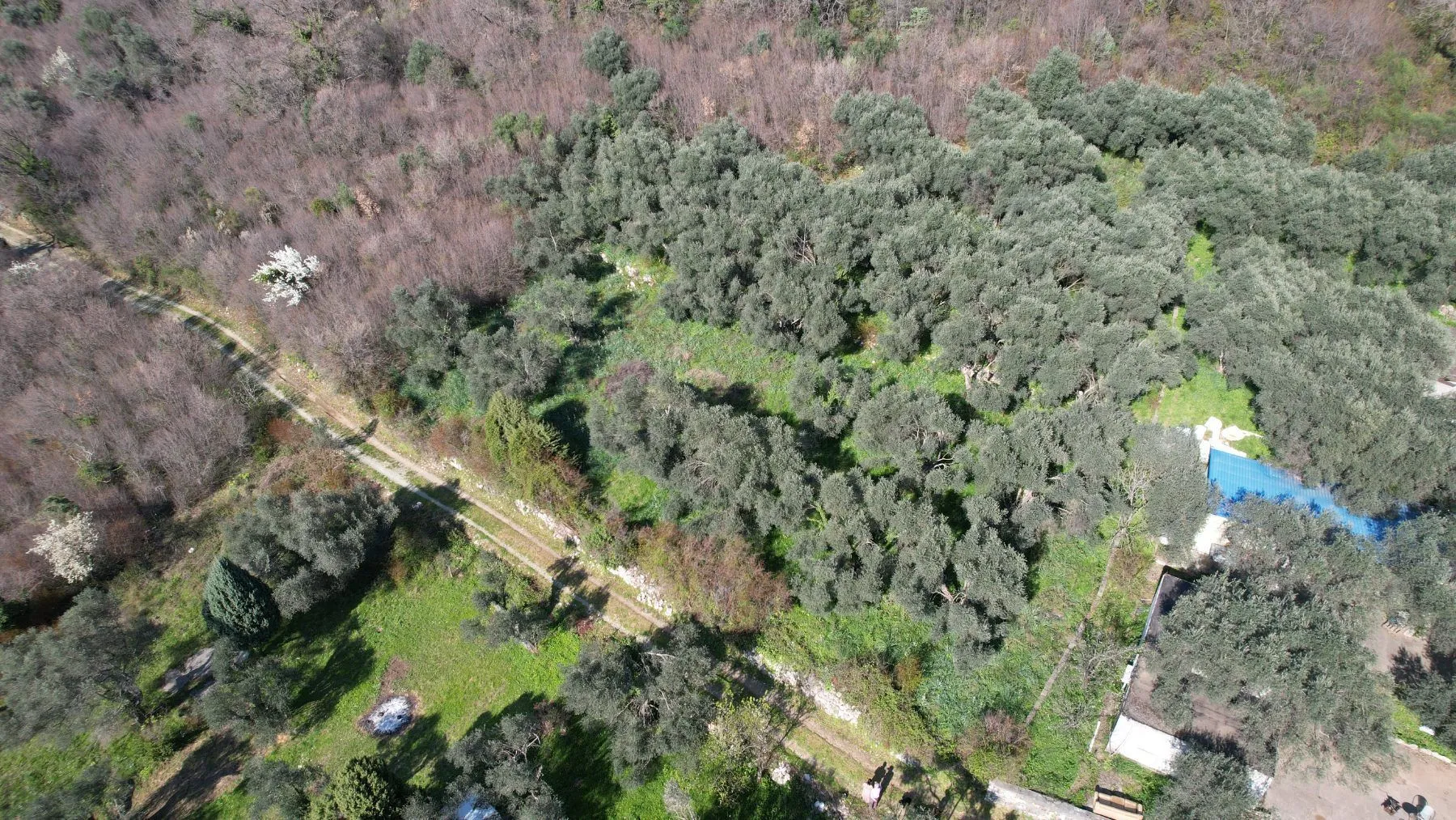 Prodaja, plac, 15810m², Buljarica, Budva