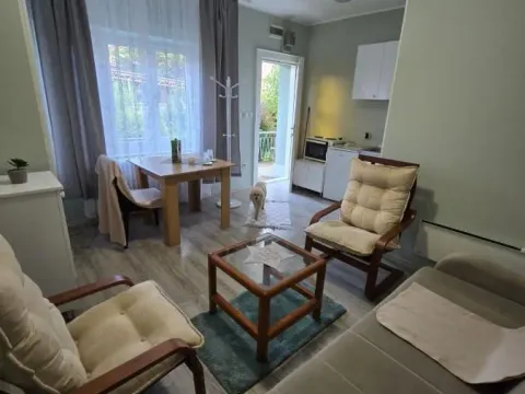 Izdavanje, garsonjera, 28m², Sajmište, Novi Sad - image 6